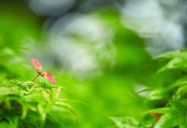 有意境的古风五字