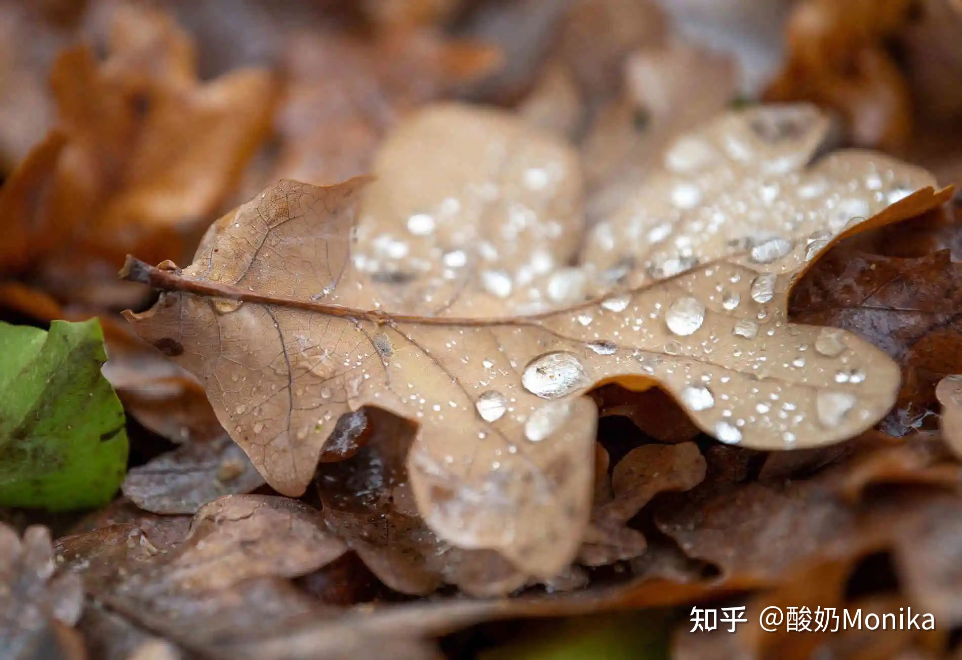 大学生文艺网名--继续我的辉煌