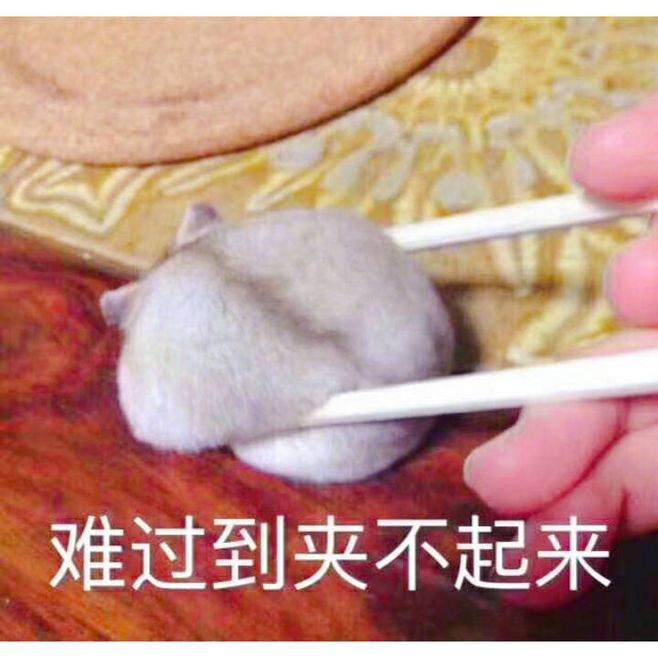 网名年龄大_丹青眷